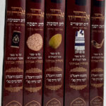 מחזור אבותינו בינוני