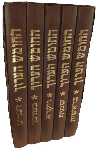 14203