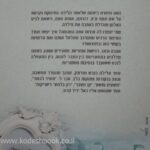 28 שורות