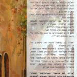 אבדה לנו כבשה