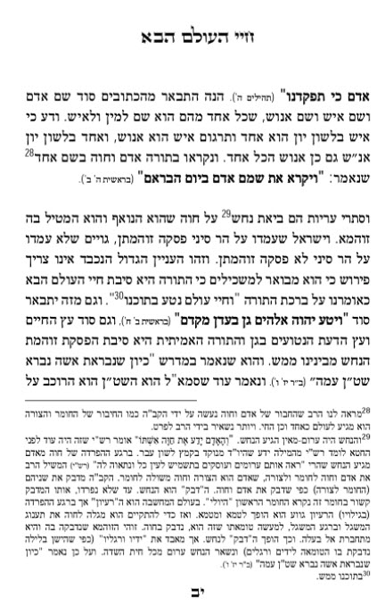 אוצרות אבולעפיה 11126