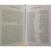 אור המנורה 2