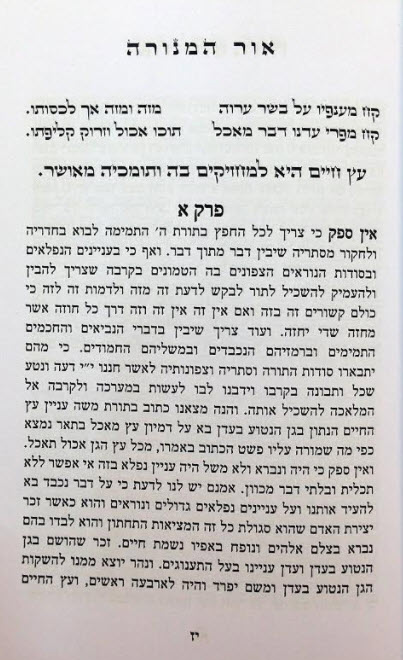 אור המנורה 3