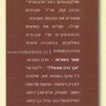 אורות התפילה
