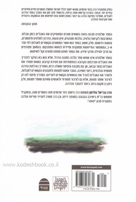 אחורית 2102