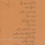 אחורית 2303