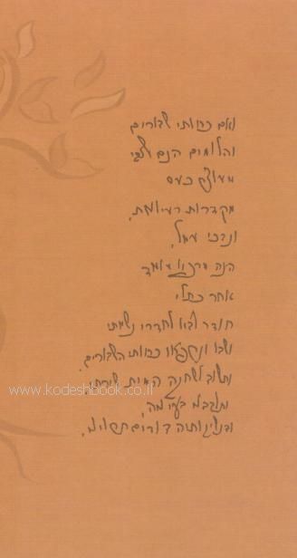 אחורית 2303