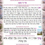 אחורית 2378