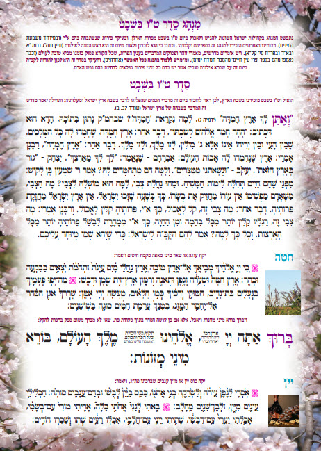 אחורית 2378