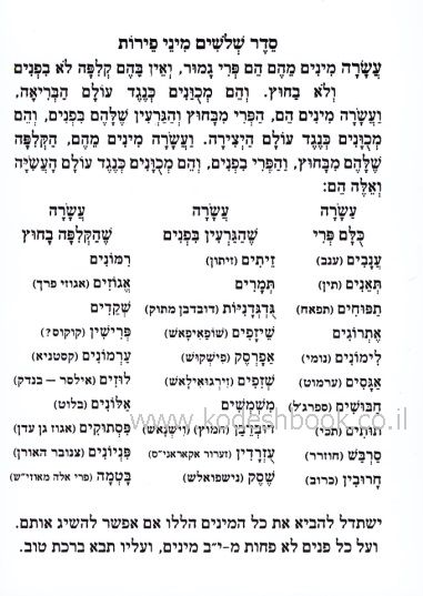 אחורית 2824