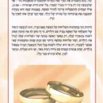 אחורית 3912