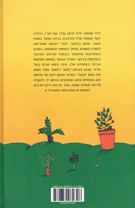 אחורית 3953