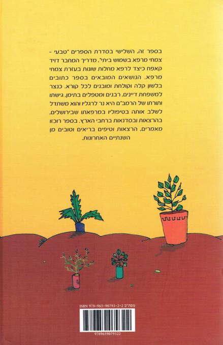 אחורית 3955