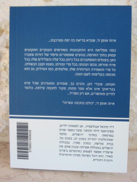 אחורית 4063
