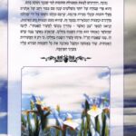 אחורית 462