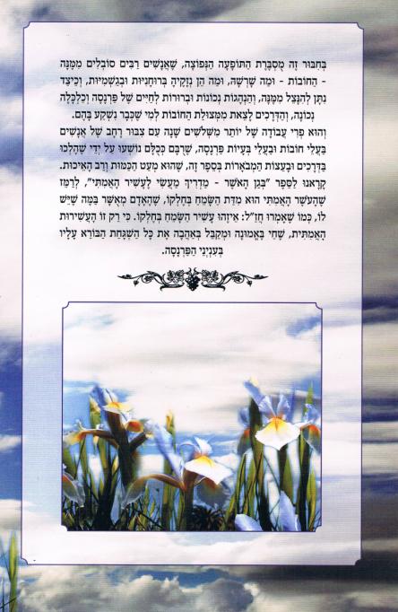 אחורית 462