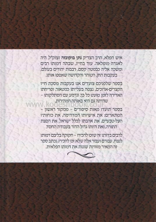 אחורית 5180