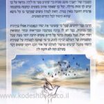 אחורית 5223