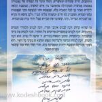 אחורית 5224