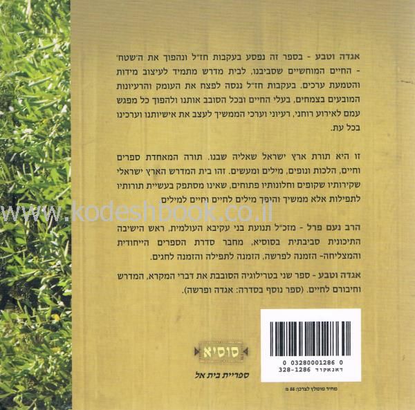 אחורית 5416
