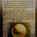 אחורית 5654