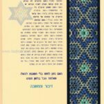 אחורית 635