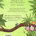 אחורית 6647