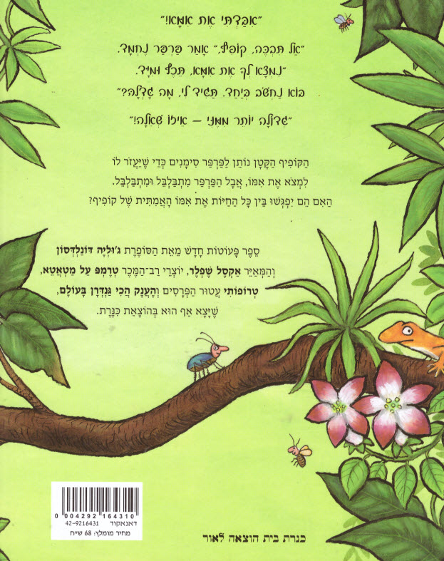 אחורית 6647