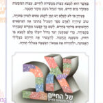 אחורית 7749