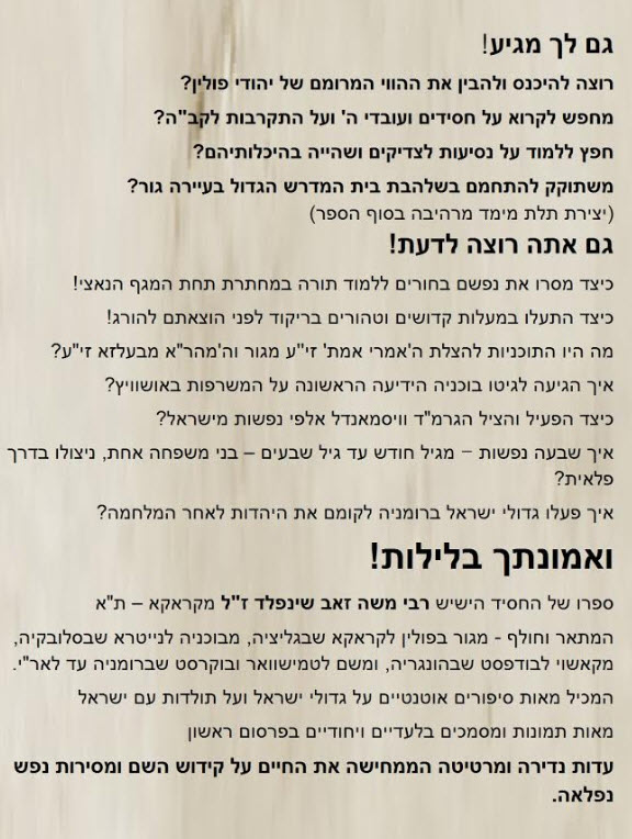 אחורית 8604