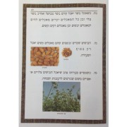 איכות חיים1