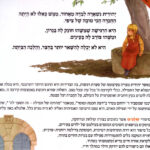 אף פעם לא לבד