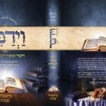 וידבר 12473