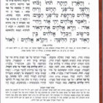 חומש באר שמואר פנים 1141
