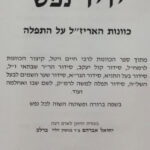 ידיד נפש 2