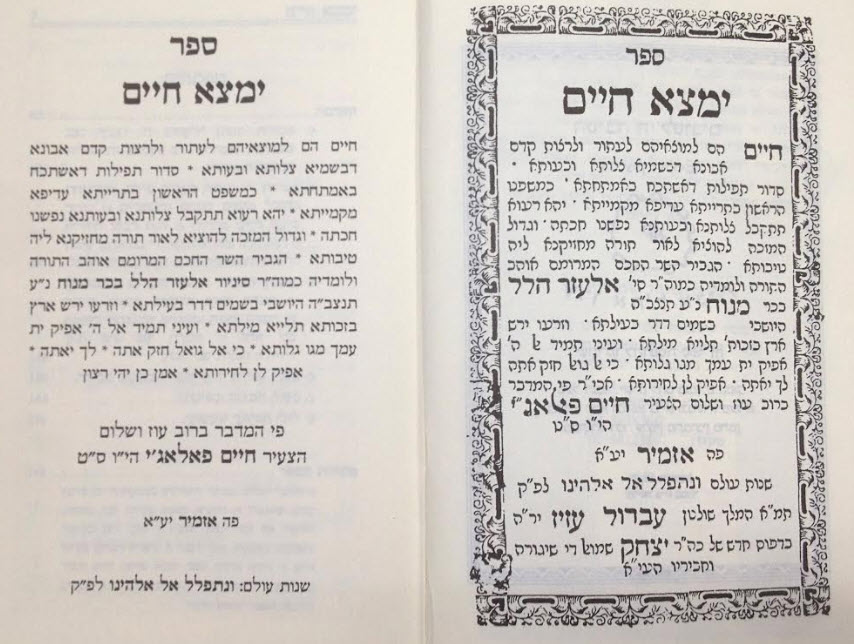 ימצא חיים 1