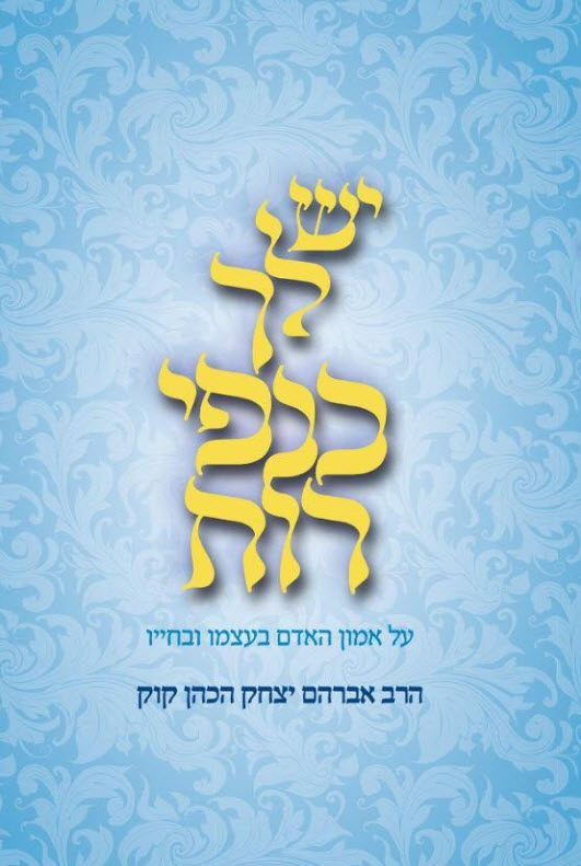 יש לך כנפי רוח כיס
