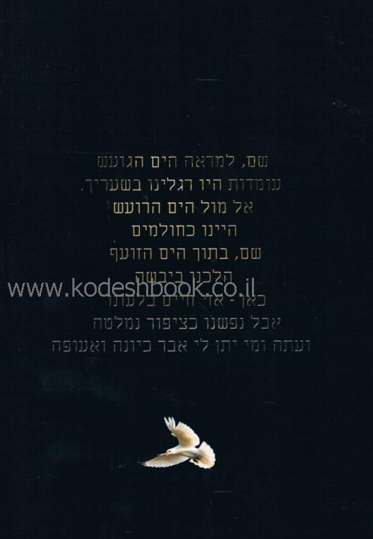 כוחות