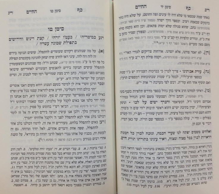 כף החיים 1