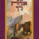 כריכה 207