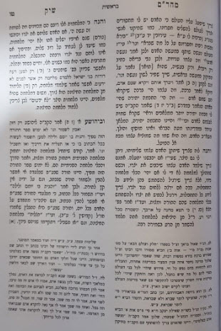 מהרם שיק1