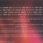 מנגנים ויזניץ