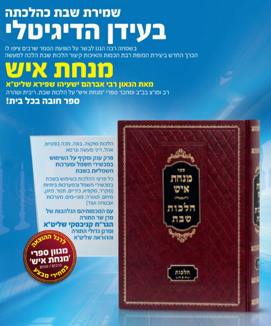 מנחת איש הלכות שבת ב