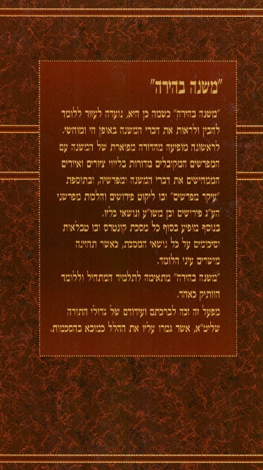 משנה בהירה אחורית 6542