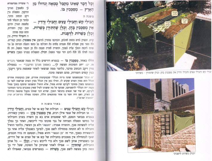 משניות קהתי סוכה 2083 פנים