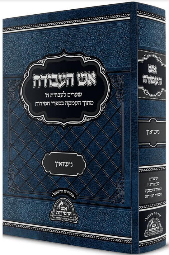נוספת 13262