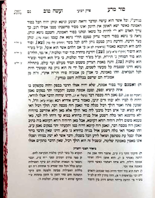 הרב צבי הירש מזידיטשוב