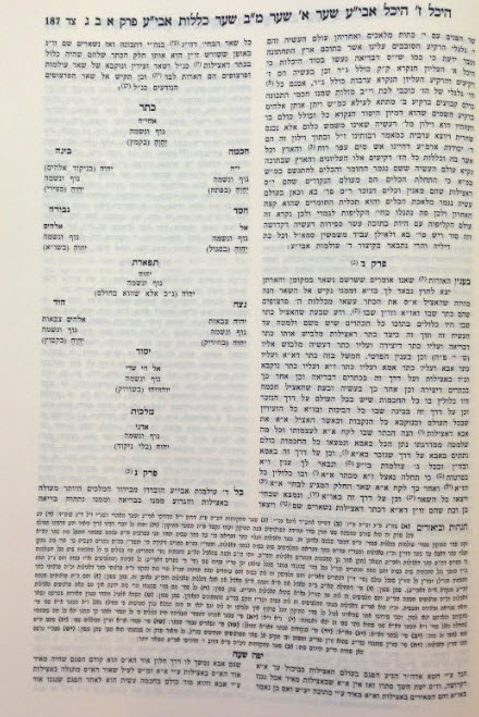עץ חיים מהדורת סתרי חיים2