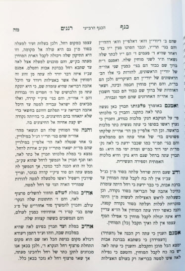 פנים 10293
