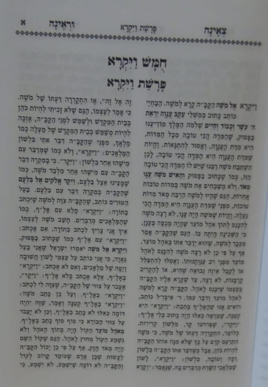 פנים 10617